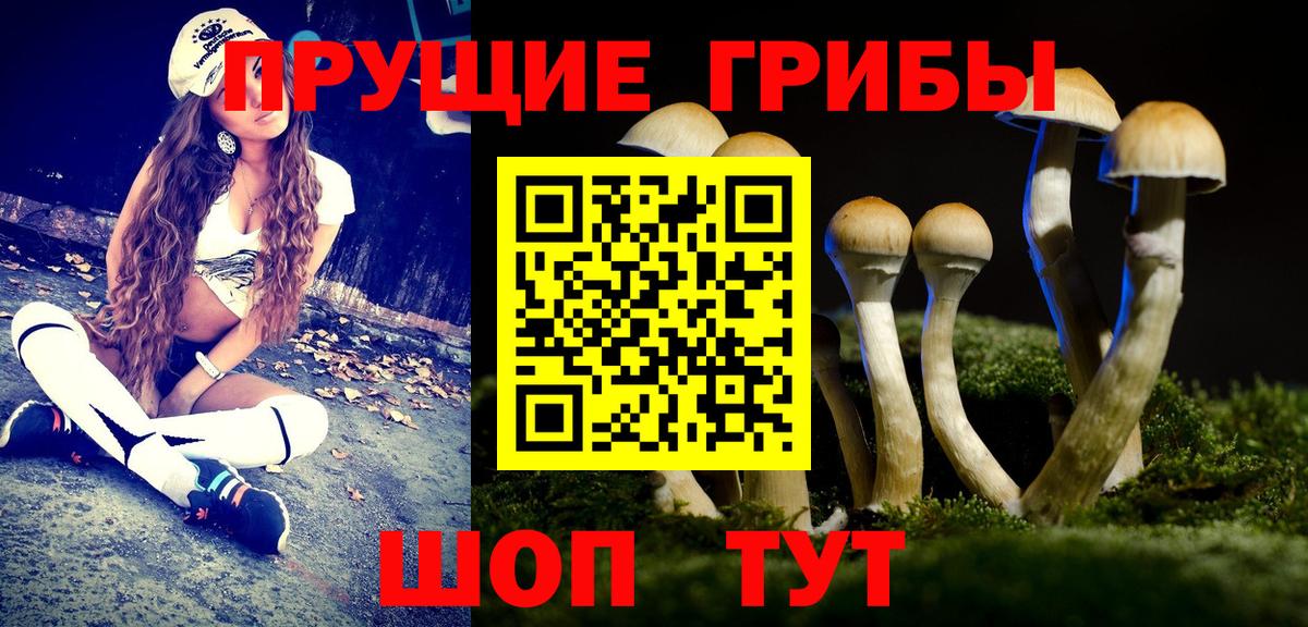 Псилоцибиновые грибы мухоморы  Вход с VPN  Краснознаменск 